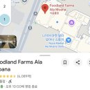 팜스하우스 | 하와이 포케 > 알라모아나센터 푸드랜드팜스 포케 그리고 와이키키 포케바 알잘딱깔센 비치워크 포케볼