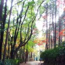 창암목장 Daum카페