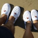 무창포솔원캠핑장 이미지