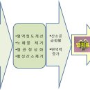 자연치유에 좋은 식품 이미지