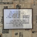 잠실새내 술집추천 닭볶음탕 맛집 시골감성/레트로감성 가득한 “손자네”솔직리뷰