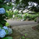 탐라신화공원 이미지