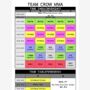 키즈 MMA 주짓수 태권도 이미지