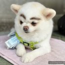 송지시장 이미지