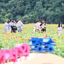 산소카폐 청송정원 (2) 이미지