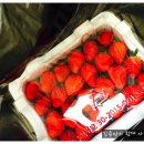 장터발전소 이미지