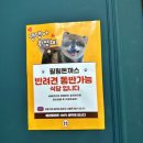 쌈돈 이미지