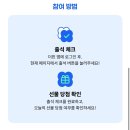 더핀 이미지