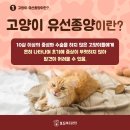 형곡동물병원 이미지