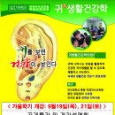 귀 건강학(이혈테라피) Daum카페