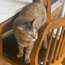 착한369치킨호프 이미지