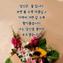 금요일 이미지