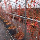 한나농장 이미지