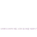 수정슈퍼 이미지