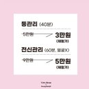 영바디샵