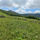 곰배령화원 이미지