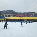 양지파인리조트 눈썰매장 네이버블로그