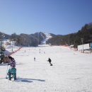 스키여행펜션 네이버블로그