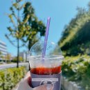 [카페] 커피빈 반값, 50% 할인 이벤트