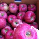 오봉농원 이미지