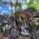 금계체육관 이미지