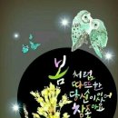 언제나 좋은날 이미지