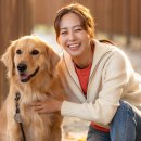 도화2·3동 행정복지센터 | 인천시, 반려견 코무늬 무료 등록…계양·미추홀 현장 운영