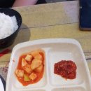 [대전 궁동 식당] 금화상회 오징어두루치기 먹고 왔어요~