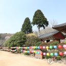 선암사 - 부산진구 부암3동 | 선암사