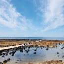 54게스트하우스 이미지