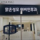 맑은성모이비인후과의원 네이버블로그