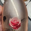 본샹스(Bonne chance)