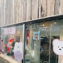 차니베어 스테이션(Chanibear Station) 이미지