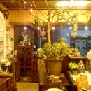 양식나라 이미지