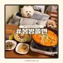 강아지맛집 | 충주시청 즉석떡볶이 맛집 봉방쫄면 강아지 동반 후기