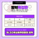 BLSO 복싱 아카데미 이미지