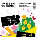 미니정원(테라리움) 뉴스쉐어