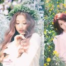 예인 이미지