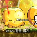 매정농장 이미지