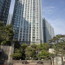 해마루초등학교 | 구미 도배 전문 옥계 중흥S클래스 에듀힐스 디아회벽 크림 화이트 시공 후기