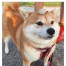 칠곡커피 이미지
