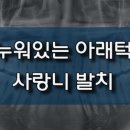 진플란트치과의원 이미지