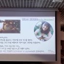 놀러와, 이야기 숲으로 이미지
