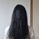 헹구지않는 노워시트리트먼트 추천 미체 디디트리트먼트