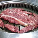 호야암소한마리 이미지