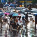 하루와이틀 이미지