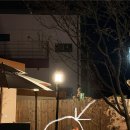 꽃잎펜션 | 춘천 사나레 풀빌라 독채 펜션 내돈내산 후기