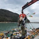 청정바다 이미지