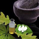 (주)제이에스바이오 이미지