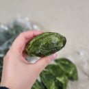 둔둔농장 이미지